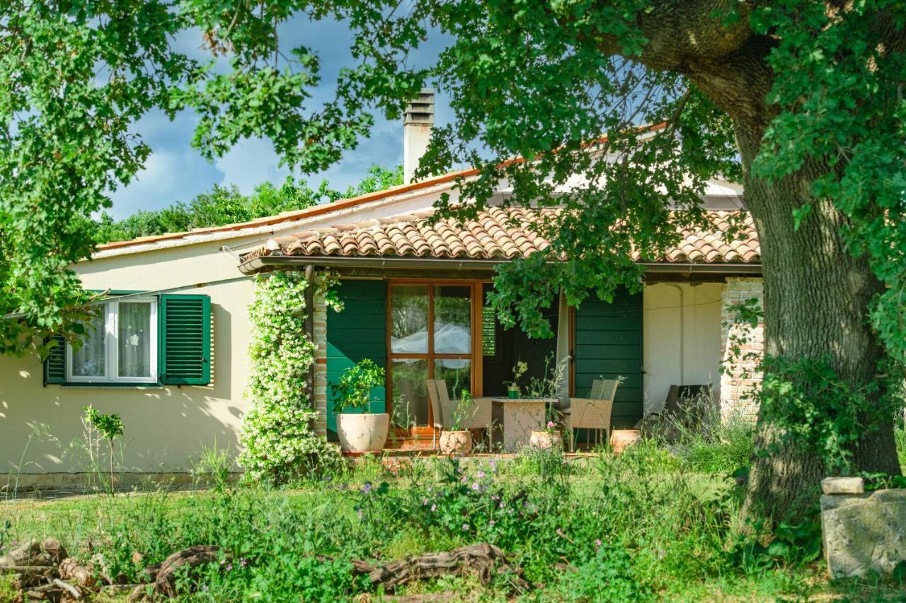 Appartamento House Boris Loborika Esterno foto